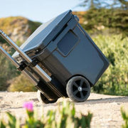 Product Feature Image